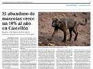 Aumenta el abandono de mascotas en Castellón