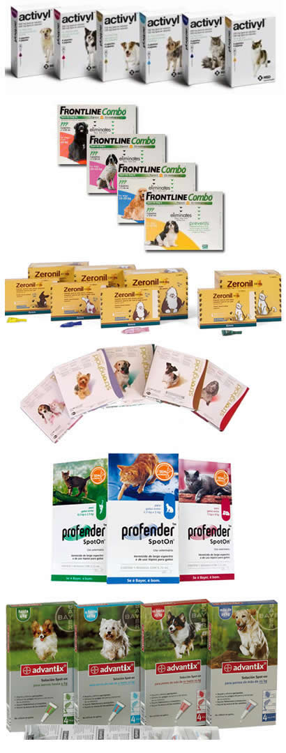 Ofertas del mes de marzo